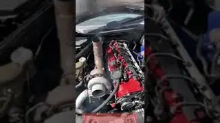 W124 Beast Mode | OM648 Engine Swap | 600+ HP Powerhouse Acceleration!