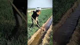Agricultural vision can enhance your skills