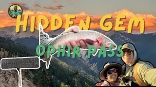 Another High Altitude Fishing Adventure on Ophir Pass, Colorado!