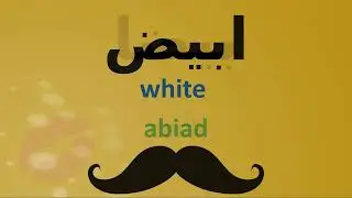 Learn 