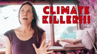 The Carnivore Diet is Destroying the Environment. Discuss...