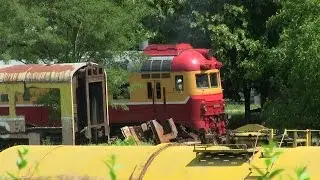 [ЧФМ] Дизель-поезд-мотриса Д1-603-3 и Д1-777-1 / [CFM] D1-603-3 and 777-1 motor cars
