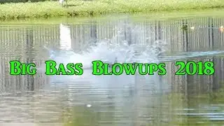 Big Bass Blowups 2018