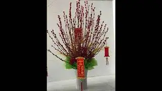 Chậu hoa ngày tết 2020-Dung Channel