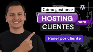 Gestionar Hosting y Dominio para Clientes - Hostinger Pro Panel