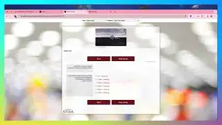 Display Options inside Options