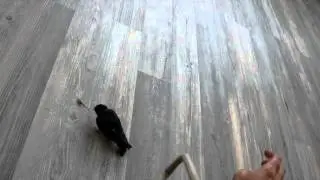 MOV02826