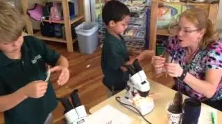 Learning about Feathers