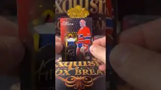 Break #070 SICK Carey Price pull  