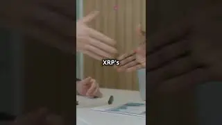 IS Crypto Winter OVER For XRP And Bitcoin?
