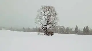 Husté sneženie Liptov