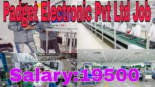 Padget Electronic Pvt Ltd Job in Noida | padget Company Job noida sec 16 #padget #itibharti 