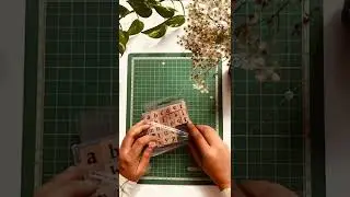 Unboxing alphabetic stamps | no talking | the colour pad