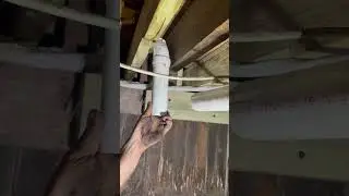 Shower p trap #plumber #plumbers #construction #homeimprovement #plumbingvideos #shortvideo #shorts