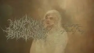 A Wake in Providence - I Write To You, My Darling Decay (Official Stream)