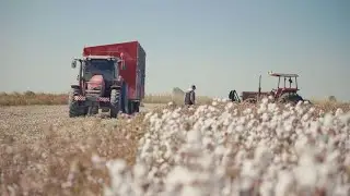 The people behind Scania’s organic cotton apparel: a story of craft and care