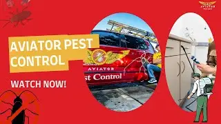 Aviator Pest Control - Reliable Pest Control Houston, US | Pest Control Harris County | Pest Control