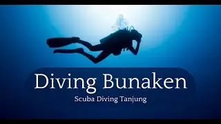 Bunaken's Wall Wonders: Discovering the Corners of Lekuan (Tanjung) #indonesia #scubadiving