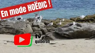 ILE DE HO&Euml;DIC |  ⛱️ 🌞 Fin des Vacances d'&eacute;t&eacute;  | TV Quiberon 24/7
