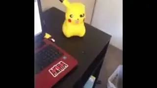 pikachu fucking dies