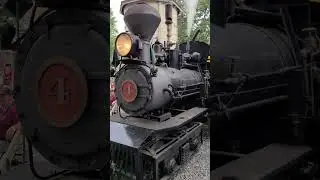 Shay Steam Train at Rough & Tumble steam show 2021