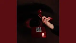 Phone Goes Both Ways