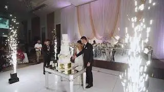 Experience the Difference with ARIA Wedding Venues Sydney