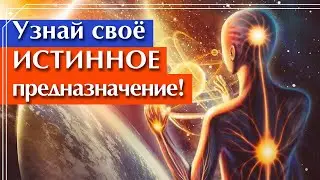 Путь к себе! / Как найти свое кармическое предназначение?