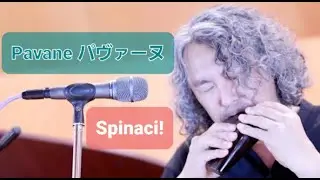 Pavane ／ Spinach!  パヴァーヌ／スピナチ！