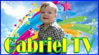 Mr. Gabriel
