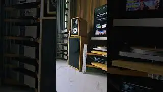 Crazy enough 🤔 #highend #audiophile #hifiaudio #loudspeaker  #diyaudio #hifi