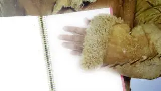 Spot - Antartik