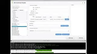 Web Sensing Protecting Space Assets