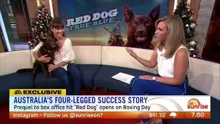 Red Dog: True Blue - Sunrise Interview