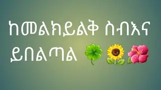 z.kitchen how are  you  my famiIy
