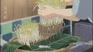 From Seed to Meal | Calm Anime Cooking Journey 🌱🍲