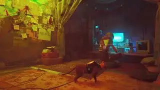 Stray (PC) How to Change FOV settings