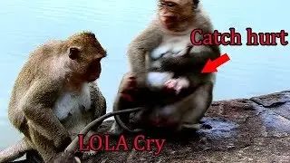 DEEP HURT | Poor baby LOLA cry very hurt arm when mom,Leyla wrong catch