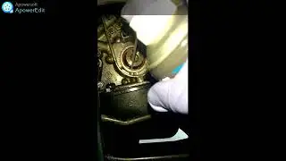 SOSTITUZIONE PARAOLIO ALBERO A GOMITI CLIO 2