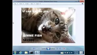 U can haz no pix