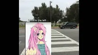 Yes this is a capcut template but I thought it was funny so I added these photos I have