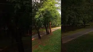 view from nbu hostel.. #nbu #hostel #research #nature #shorts