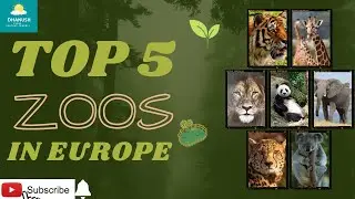 Top 5 Zoos in Europe l Best Zoos in Europe l European Zoos