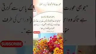 Prohibition of Shamelessness and Immodesty in the Light of Hadith #islamicreminder