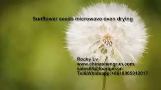 Sunflower seeds microwave oven drying