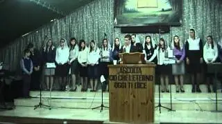 Canta Alleluia