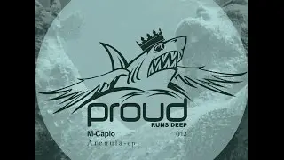 PRD13 - M-Capio - What Is (Original Mix)