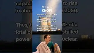 Nuclear Capacity | Dr Lars Schernikau #electricity #energyconsumption #greenenergy