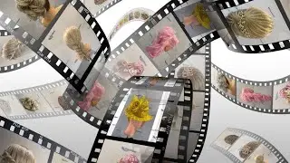 2021 jaar overzicht kapsels, 2021 hairstyles year overview