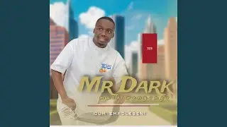 NGAPHANDL' UYAZENZELA